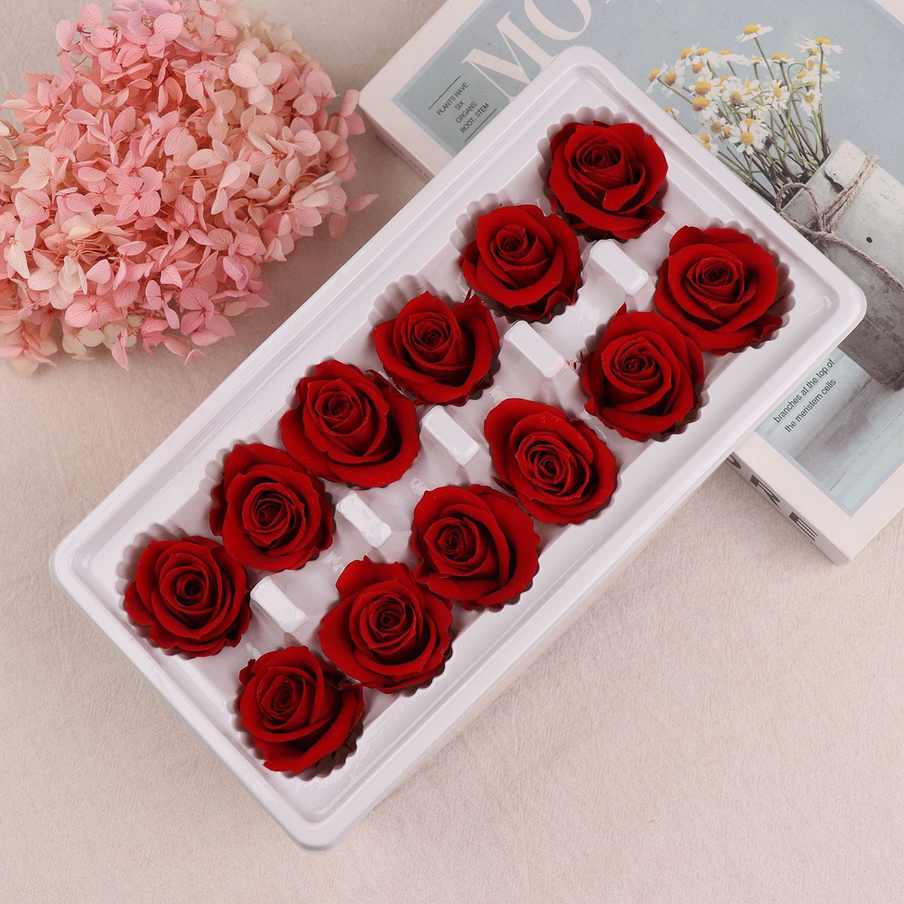Cabezas de Rosa Eternas A+, 3-4 cm, 12 Piezas, Materiales para Manualidades Florales, Caja de Regalo, Fabricante, Venta al por Mayor