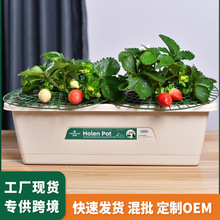 �S�����l���R�d�L�l�����̨�N����ܑ��˻����ͥ�̨�Nֲ�ۑ���