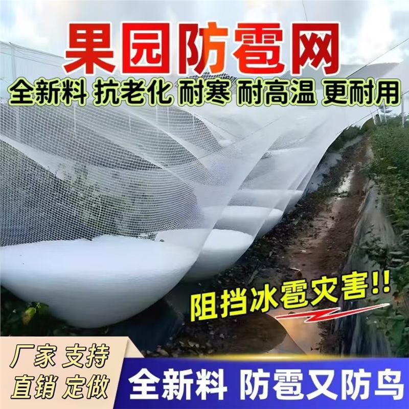 葡萄樱桃防雹网防鸟农用果树防鸟网防护网经久耐用厂家直销