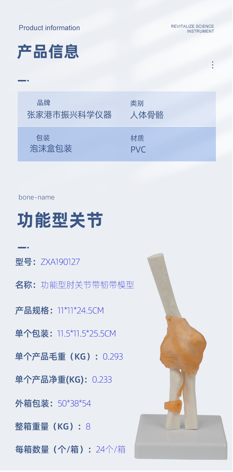 功能型肘关节带韧带