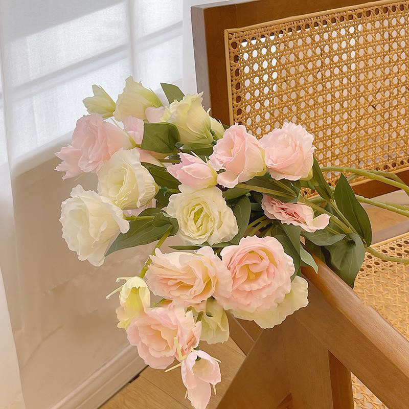 O1CN01k8PO301z0D0iuLvtx_!!2211