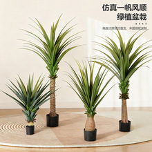 �߼��б��W�L����Gֲһ���L����ԾƵ���Ô[������b�ֲ���辰