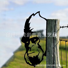 �羳����@���Fˇ�b�ˇƷ����͵�����@�����r��ͥԺ�b���