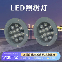 ����LED��������ˮ�@���՘��ͥԺ�؟��߲�Ͷ����ز��ƺ��