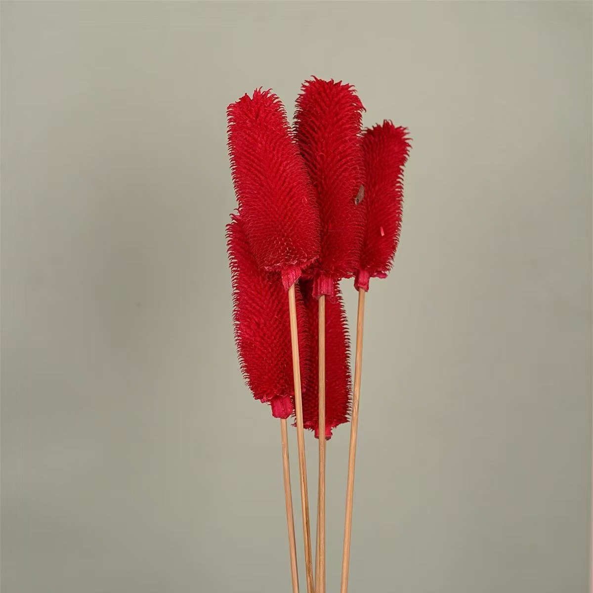 Flores de inmortalidad rojas decoración de boda flores secas de Año Nuevo para dar la bienvenida a los huéspedes frijoles de dragón grasa colgando arroz al por mayor