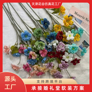 ��ɫ5�^Ұĵ�� ��֦ܽ�ػ���@��Y����̨���Ų廨ˇ·�������ٻ�