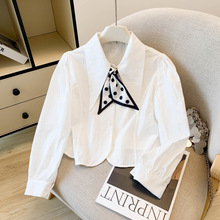 �n����ˇɭϵ�n���|���T�L��첱���ſ��r���䲨�c�z��