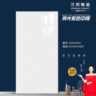 Foshan Construction Site Tiles Customized Living Room and Restaurant All-Over Porcelain Tiles 400*800 Modern Simple Infinite Pattern