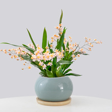 ��ˮ�����m���ԝ����͎����������mֲ��������������B�m������