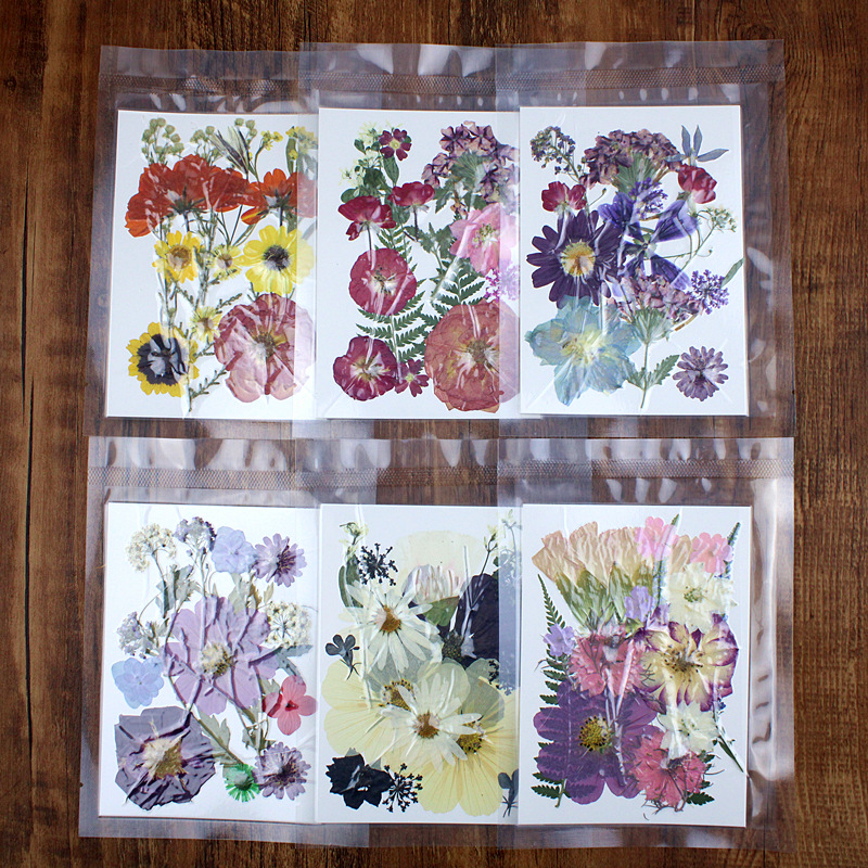 작은 꽃밭 시리즈 6종 세트 (총 90개)