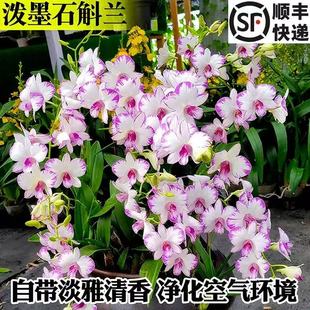 �ם�ī��ʯ���m���ԬF���������������m���F����ֲ���҃Ⱥ��B�Gֲ