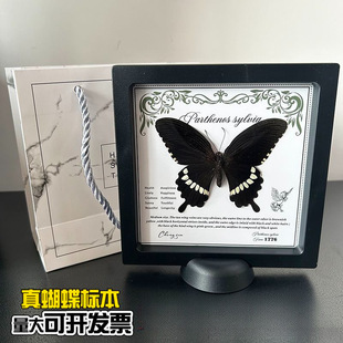 Real Butterfly Specimen Suspension Box Photo Frame Home Stereo Decorative Ornaments Creative Birthday Gifts Popular Science Teaching Supplies