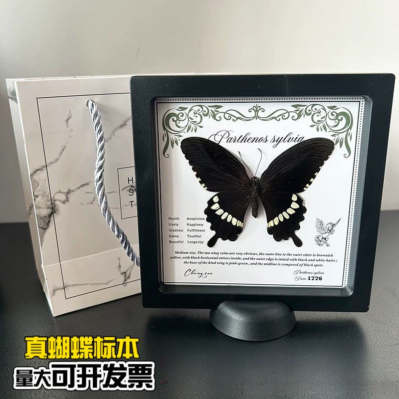 Настоящая подвесная коробка с образцами бабочек, фоторамка, домашняя стерео, декоративные украшения, креативные подарки на день рождения, научные обучающие материалы