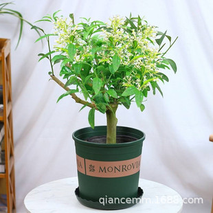 ҹ�������ԝ����ͻ���ҹ��������ļ��＾�_��ֲ���ļ������҃���