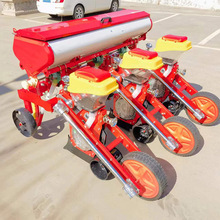 ������������״󶹲��N�C������׾����C���Ӹ��������C�N���C