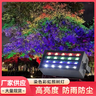 Led Tree Lighting Outdoor Waterproof Park Courtyard House Atmosphere Lighting Energy-Saving Rainbow Light Colorful Floodlight