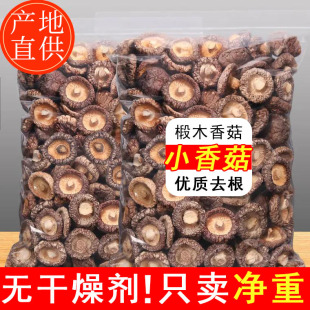 ���o������㹽��؛���ö�������С�㹽�I�B������������ɢ�b