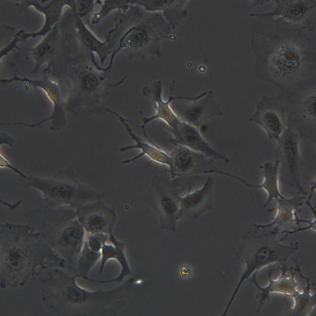 2025-11-05 15:26:03.jpg