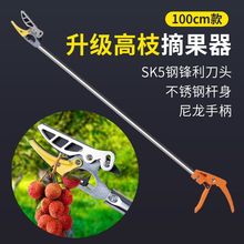 ��֦��ժ������5�׸߿ղ�ժ����ժ�������˘�֦�����L�U��