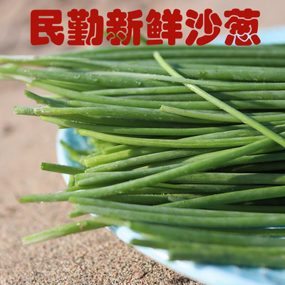 民勤沙葱装新鲜包邮5斤 现摘蔬菜下饭菜野菜食补甘肃特产蒙古韭
