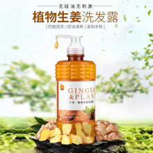 草本生姜防脱洗发水老姜固发控油洗发露八宝植物生姜洗发水正品