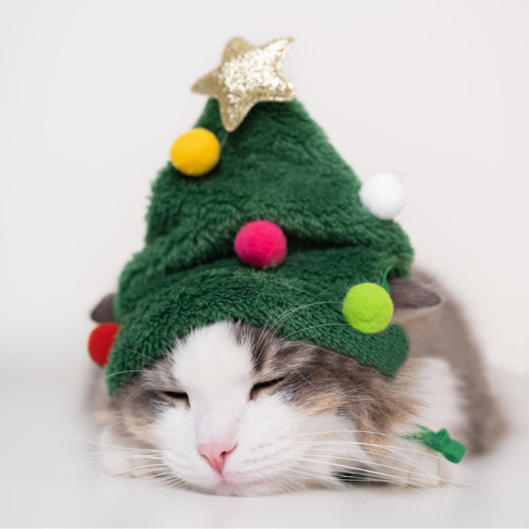 Navidad perros gatos mascotas sombreros de Navidad bufandas saliva Teddy Boomerang ropa de otoño y invierno