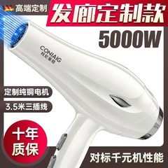ヘアサロン専用ヘアドライヤーホーム理髪店ハイパワーマイナスイオンヘアケア3800W速乾冷熱風筒