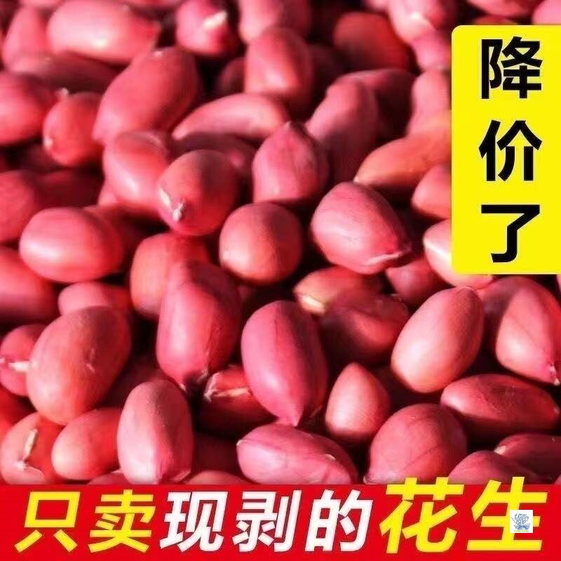 东北新货四粒红皮花生米去壳红皮花生米红衣花生米红皮花生米|undefined