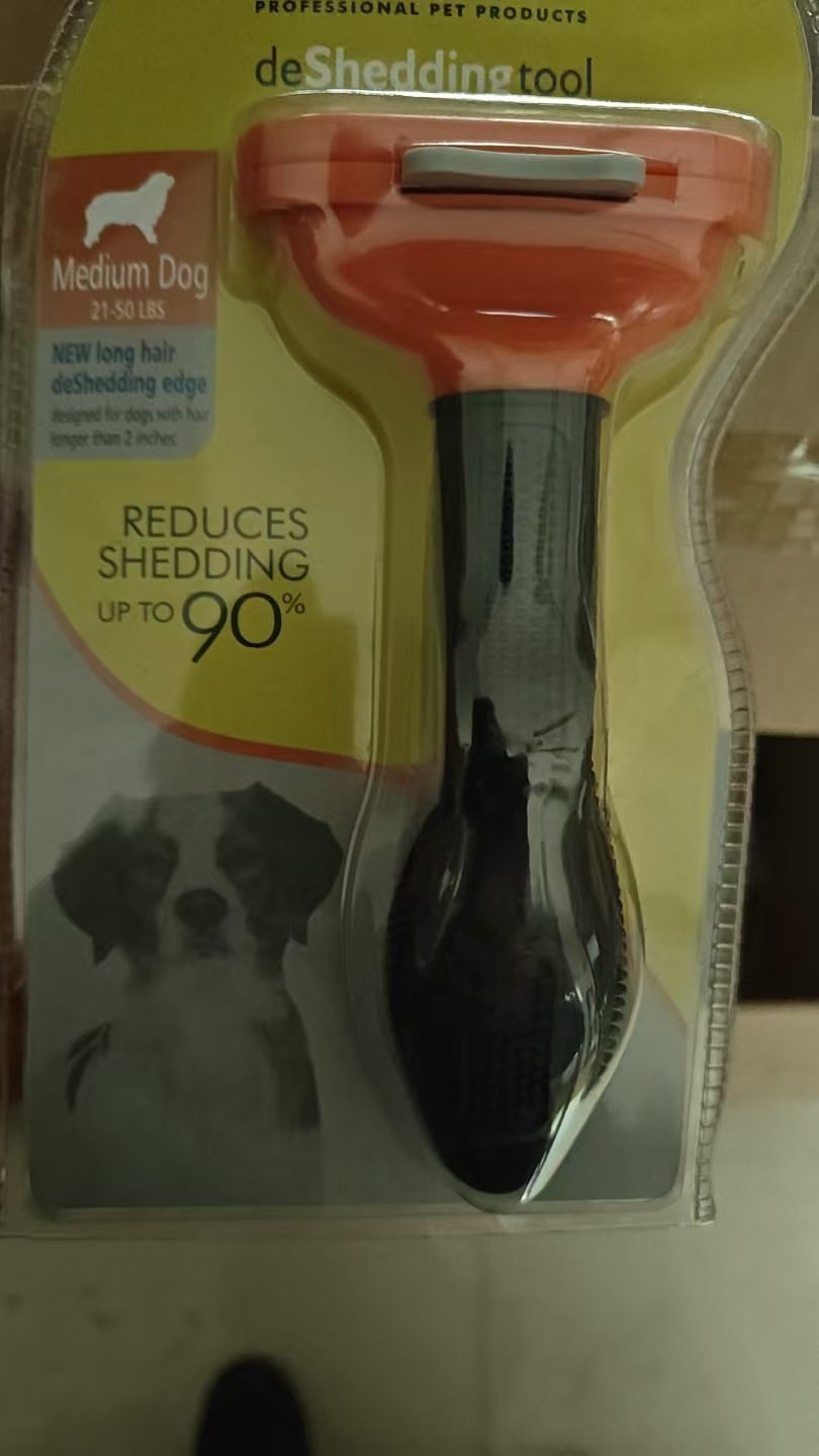 긴 머리-개 미디엄 오렌지