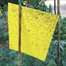 rI@pSɫ{ɫճx ωωСxx