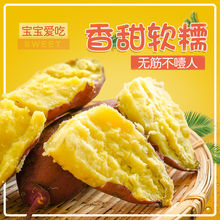 桥头地瓜海南澄迈富硒新鲜沙地红蜜薯沙板薯甜糖心番薯一件批发