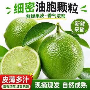 �����ļ����rˮ��̩�����N������o���������̲��ֱ�����l���]