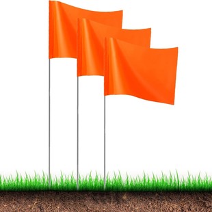 �羳��ӛ��õؘ�����̖���־����С�t��䓽z��Umarking flag
