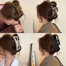 �߼��д���ץ�AŮ�l�������~�A��2026�¿���X�ױP�l���|�A���^�