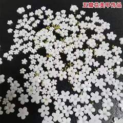 工場直販 ネイルアート用五弁花飾り 卸売 ウェアラブルネイル レジン小花 越境で人気販売中