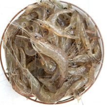 5袋包邮淡水小河虾冷冻活体新鲜青虾湖虾水产急冻小草虾醉虾小虾