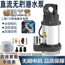 直流无刷潜水泵家用电动电瓶车12V24V48-72V高扬程农用灌溉抽水机
