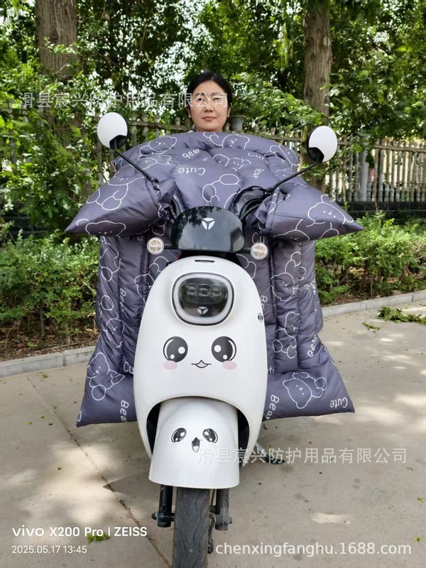 電気自動車の新しい冬用防風キルトは、防寒性、暖かさ、防水性、ベルベットの厚み、防風性を備えています。工場から卸売されています。|undefined