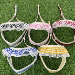犬用リード、小型犬用リード、レースハーネス、テディビション、ポメラニアンシュナウザー犬用リード