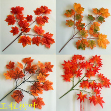 �t���~�����~�����b٘��~�^�z�~���y���~�＾�Gֲ��ͩ�~