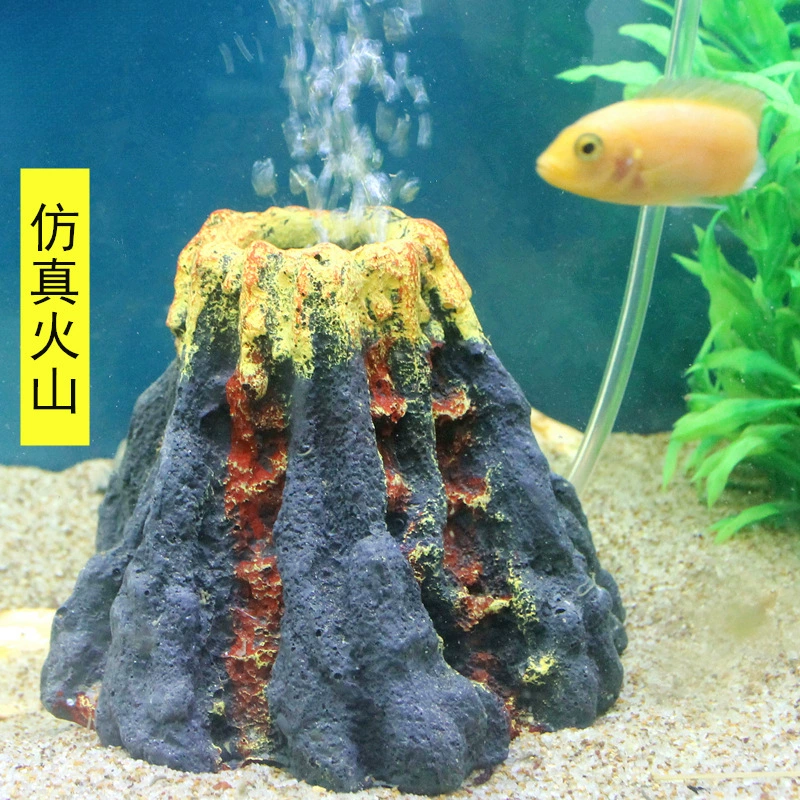 Декоративное оформление аквариума в аквариуме