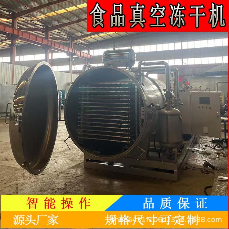 苹果片真空冻干机 秀珍菇冻干设备低温冷冻干燥机厂家