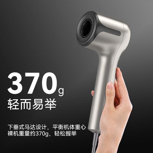 Cross-border high-speed ionic hair dryer, home constant temperature hair care hair dryer, beauty salon high power 110V US standard