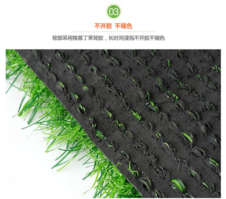 阿里地毯草详情 (11)