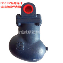 ̨�� DSC TRAP F8 ������ DN50 17K 1.6Mpa ���� ���� ������ˮ��