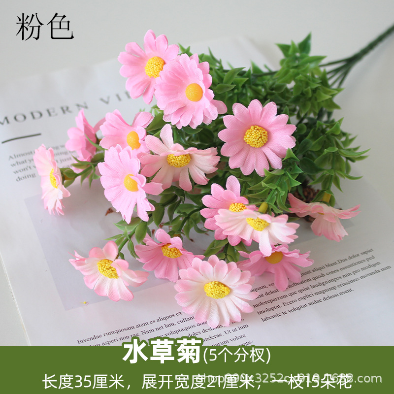 Plantas acuáticas y crisantemo rosa