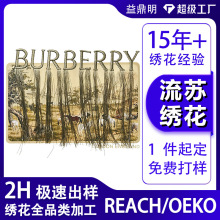 原创流苏立体绣电脑绣花辅料后整理DIY绣花工艺流苏绣刺绣定制