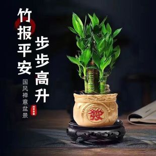 �����߸��F��ɻ���ˮ�B������������ȩֲ���҃ȾGֲ