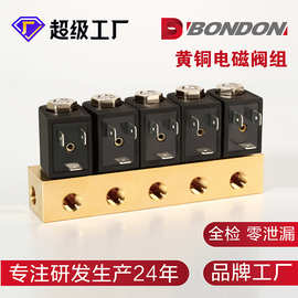 定制二位二通黄铜电磁阀阀组 微型电磁阀阀组气动专用直通式