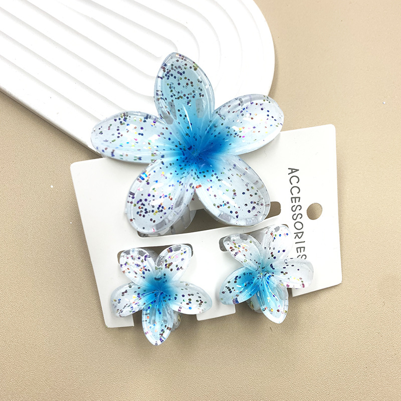 96g Weight Hair Claws Hair Accessories Type 1 Set Quantity Daily Occasion Plastic, Resin Material Plumeria Pattern All Seasons Season Women's Gender Stoving Varnish Design Cute Style Cute Women's Plumeria Plastic Resin Stoving Varnish Hair Claws 17